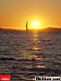IBZ03-121.jpg