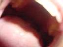 DSC00018.JPG