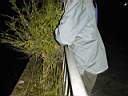 xo-y-las-plantas.jpg