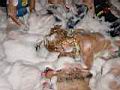 DSC00121.JPG