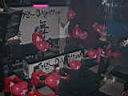 DSC00037.JPG
